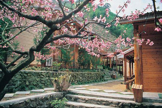 Da Kuan Peach Farm Resort Hualing Dış mekan fotoğraf