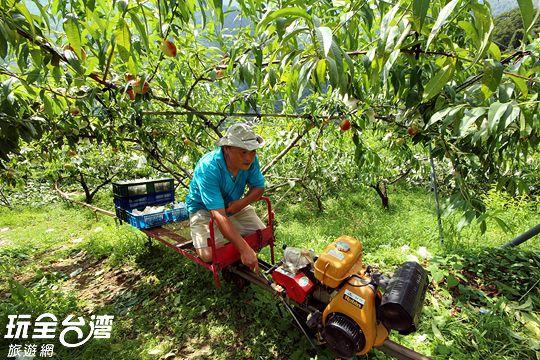 Da Kuan Peach Farm Resort Hualing Dış mekan fotoğraf